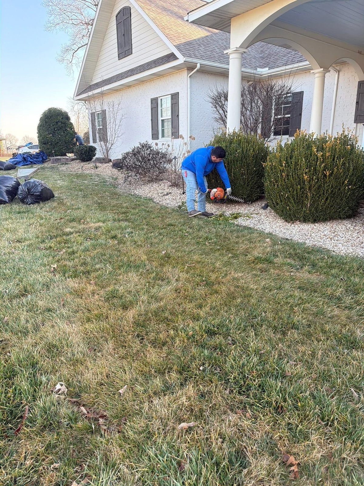 Hedge being cut back beside a gravel border