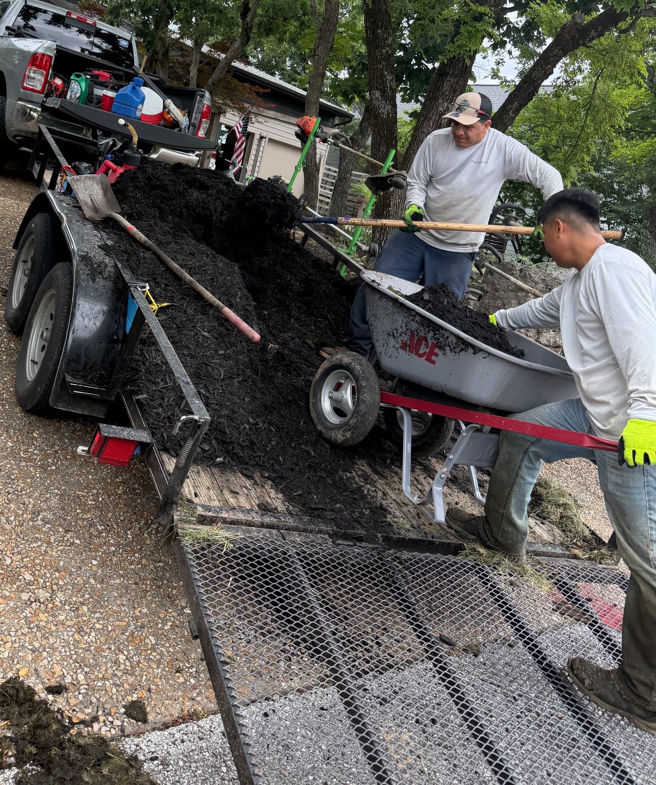Two crew members shovelling mulch off the dump trailer into a wheelbarrow